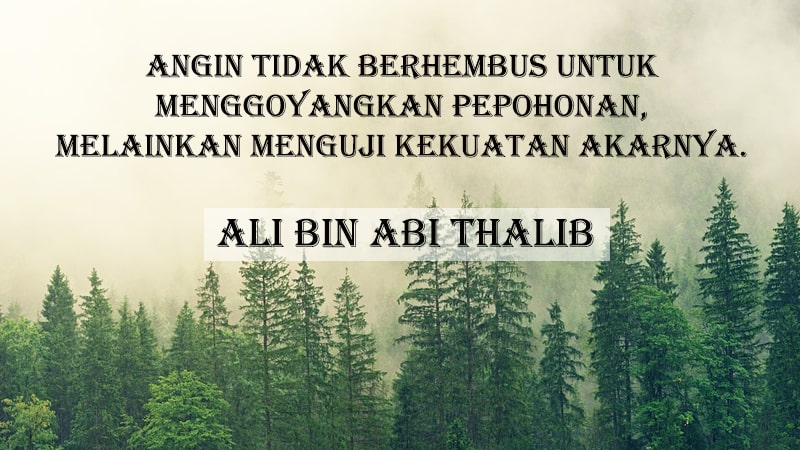 Kutipan Mutiara Kehidupan - Ali bin Abi Thalib