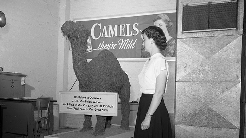 rokok camel indonesia - museum