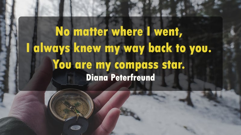 Kata-Kata Cinta Bahasa Inggris - Diana Peterfreund