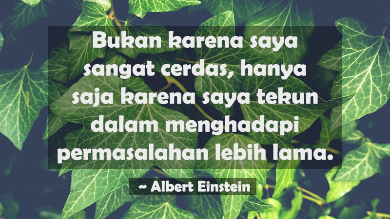 Kata-Kata Terindah tentang Kehidupan - Albert Einstein